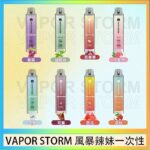 VAPOR STORM風暴辣妹一次性主機充電7500口（5%）