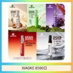 梟客XIAOKE一次性電子菸拋棄式8500口